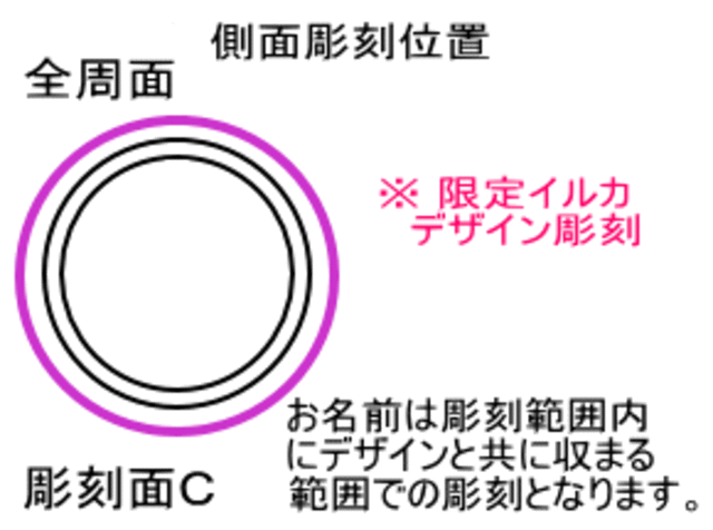 イルカ彫刻位置