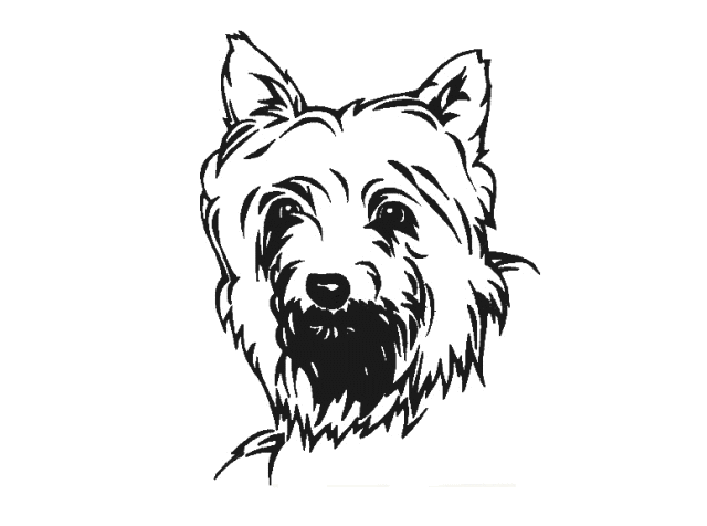 犬のイラストデザイン